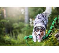 OZLHSP christmas kids games jigsaw puzzles 1500 piece Australian Shepherd Animals 87x57cm