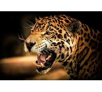 OZLHSP christmas kids games jigsaw puzzles 500 piece Jaguar Big Cats Animal 52x38cm