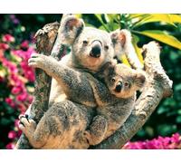 OZLHSP christmas puzzle 500 pieces Koalas Bear Animals 52x38cm