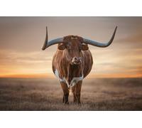 OZLHSP christmas puzzles 1000 piece Bull Animal 75x50cm