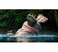 OZLHSP christmas puzzles 1000 pieces Hippos 75x50cm