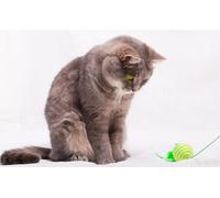 OZLHSP difficult jigsaw puzzles 1000 piece Cats Animal 75x50cm