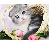 OZLHSP friends jigsaw puzzle 1500 Kittens Scottish Fold Cats Animal 87x57cm