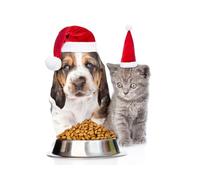 OZLHSP funny jigsaw 1500 pieces Basset Hound Kitten Cats 87x57cm