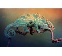OZLHSP hard puzzles 1500 piece Reptiles Chameleon Animals 87x57cm