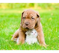 OZLHSP hardest jigsaw puzzle 1500 pieces Kittens Dogue de Bordeaux Animals 87x57cm