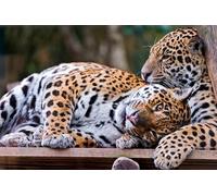 OZLHSP hardest puzzle jigsaw puzzle 1500 piece Jaguar Big Animals 87x57cm