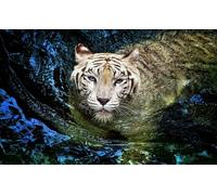 OZLHSP impossible puzzle 1500 pieces Animals Tigers Big Cats Swimming 87x57cm