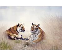 OZLHSP impossible puzzles 500 pieces Tiger Big Animals 52x38cm