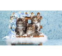 OZLHSP jigsaw 500 pieces kids Lily's Kittens Animals 52x38cm