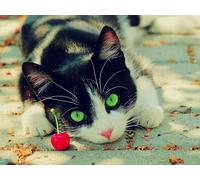 OZLHSP jigsaw christmas 1000 piece Cats Animal 75x50cm