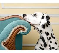 OZLHSP jigsaw christmas 1000 piece Dalmatian Animals 75x50cm