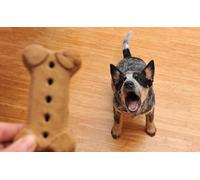 OZLHSP jigsaw puzzle boards 1000 piece Australian Cattle Dog Puppy 75x50cm