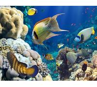 OZLHSP jigsaw puzzle frame 1500 pieces Fish Animals 87x57cm