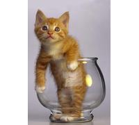 OZLHSP jigsaw puzzle frame 500 pieces Kitten Animals 52x38cm