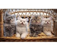 OZLHSP jigsaw puzzle frame 500 pieces Kittens Animals 52x38cm