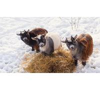 OZLHSP jigsaw puzzle roll 500 piece Goat Animal 52x38cm
