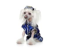 OZLHSP jigsaw puzzles for adults 500 piece Animals Chinese Crested 52x38cm