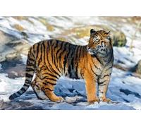 OZLHSP jigsaw puzzles for adults christmas 1000 pieces Tiger Big Cats Animal 75x50cm