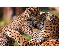 OZLHSP jigsaw roll mat 1500 pieces Big Cats 87x57cm