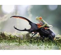 OZLHSP jigsaws 1000 pieces for adults Beetles Frog Animal 75x50cm