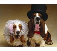 OZLHSP jigsaws for adults 1000 pieces Basset Hound Animals 75x50cm