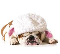 OZLHSP jogsaw puzzle 1000 pieces Bulldog Animal 75x50cm