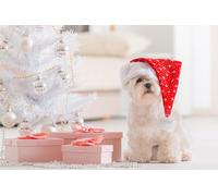 OZLHSP jugsaw puzzles for adults 1500 pieces Havanese Bichon Christmas Tree 87x57cm