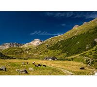OZLHSP kids puzzle 1500 piece Cow Alps Switzerland Valley 87x57cm