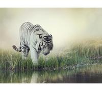 OZLHSP kids puzzle book 1500 piece jigsaws Tiger Big Animals 87x57cm