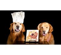 OZLHSP kids puzzle book 500 piece jigsaws Golden Retriever Animal 52x38cm