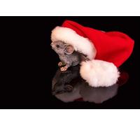 OZLHSP kids puzzles 1000 pieces Mice Animals 75x50cm