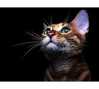 OZLHSP landscape jigsaw puzzles 500 pieces Cats Animals 52x38cm