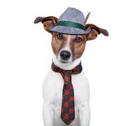 OZLHSP mind puzzles for adults 1500 pieces Animals Tie 87x57cm