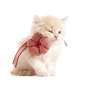 OZLHSP mind puzzles for adults 1500 pieces Kittens Animals 87x57cm