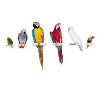 OZLHSP number puzzle 500 piece Macaw Parrots Animals 52x38cm