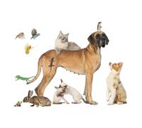 OZLHSP personalised jigsaw 1000 pieces Aussie Great Dane Cats Mice Rabbit Frog 75x50cm
