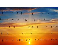OZLHSP personalised jigsaw puzzles 1000 pieces Animals Swallows 75x50cm