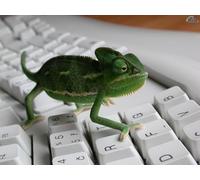 OZLHSP puzzel for adult jigsaw puzzle 1000 piece Reptiles 75x50cm