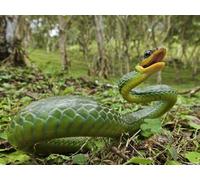 OZLHSP puzzle for 1500 piece Reptiles Animals 87x57cm