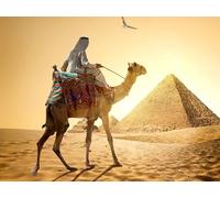 OZLHSP puzzle for adults 1000 pieces Camels of the Desert 75x50cm