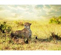 OZLHSP puzzle for adults 500 pieces Cheetahs Big Animals 52x38cm