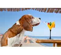 OZLHSP puzzle for kids jigsaw puzzle 500 piece Beagle Resorts Animal 52x38cm