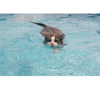 OZLHSP puzzle friends 500 pieces Swimming Cat Animals 52x38cm