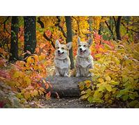 OZLHSP puzzle storage 500 pieces Welsh Corgi Animals 52x38cm