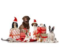 OZLHSP tional toys jigsaw puzzle 1500 piece Beagle Bulldog Retriever Spaniel Cats 87x57cm