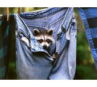 OZLHSP unique shaped jigsaw puzzles 1000 piece Raccoons Jeans Animal 75x50cm