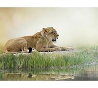 OZLHSP what if jigsaw puzzles 1500 pieces Animals Lions Big Cats 87x57cm