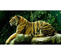 OZLHSP what if jigsaw puzzles 1500 pieces Tigers Big Animals 87x57cm