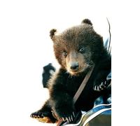 OZLHSP what if jigsaw puzzles 500 pieces Grizzly Bear Animals 52x38cm